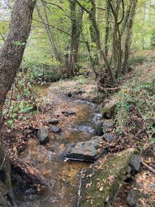 Inondations - Le Chêne et le Bouleau - 22/10/2024 © Marie-Agnès Voisin