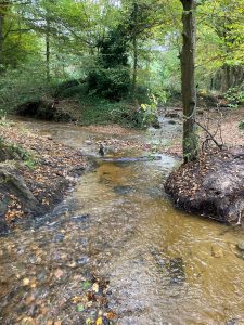 Inondations - Le Chêne et le Bouleau - 22/10/2024 © Marie-Agnès Voisin