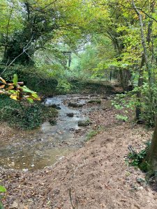 Inondations - Le Chêne et le Bouleau - 22/10/2024 © Marie-Agnès Voisin