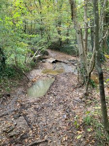 Inondations - Le Chêne et le Bouleau - 22/10/2024 © Marie-Agnès Voisin
