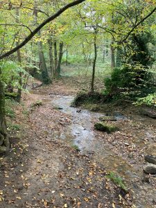 Inondations - Le Chêne et le Bouleau - 22/10/2024 © Marie-Agnès Voisin