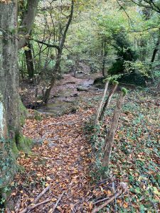 Inondations - Le Chêne et le Bouleau - 22/10/2024 © Marie-Agnès Voisin