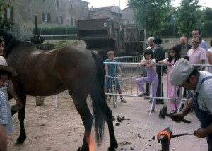 1981_marechal_ferrand    