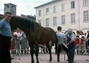 1981_marechal_ferrand_6    