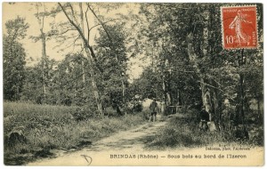 1919_Brindas_Sous-bois_Izeron        